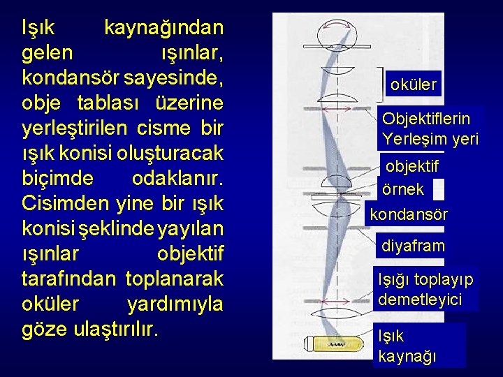 Işık kaynağından gelen ışınlar, kondansör sayesinde, obje tablası üzerine yerleştirilen cisme bir ışık konisi Işık kaynağından gelen ışınlar, kondansör sayesinde, obje tablası üzerine yerleştirilen cisme bir ışık konisi