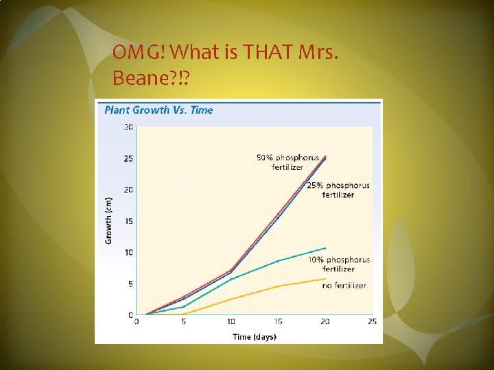 OMG! What is THAT Mrs. Beane? !? 