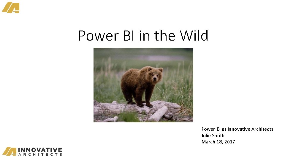 Power BI in the Wild Power BI at Innovative Architects Julie Smith March 18,