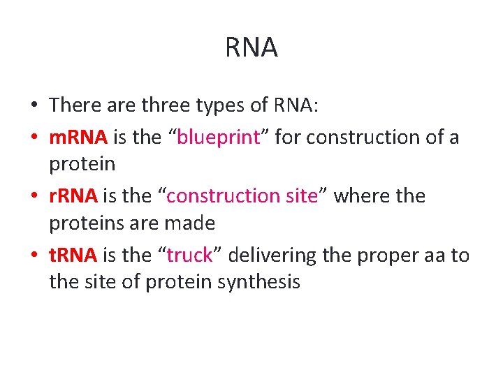 RNA • There are three types of RNA: • m. RNA is the “blueprint”