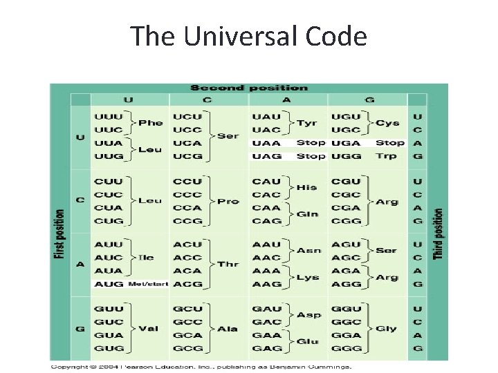 The Universal Code 