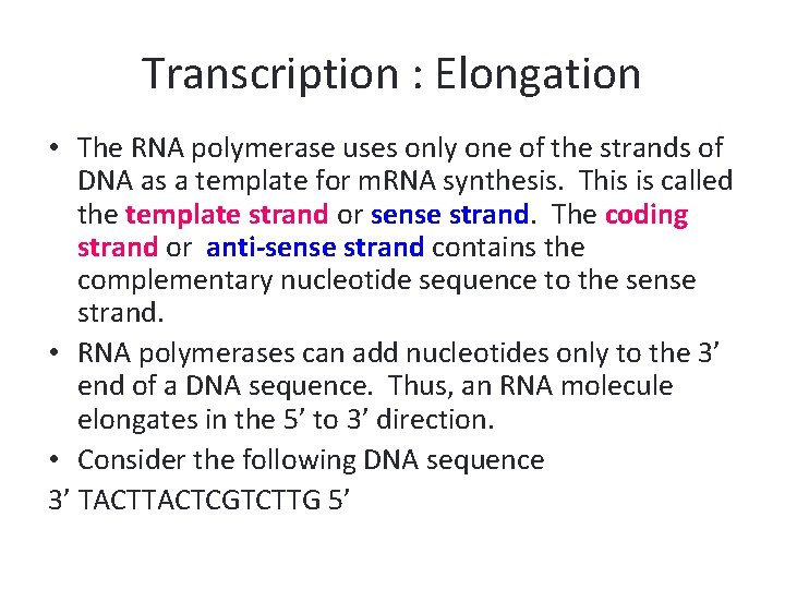 Transcription : Elongation • The RNA polymerase uses only one of the strands of