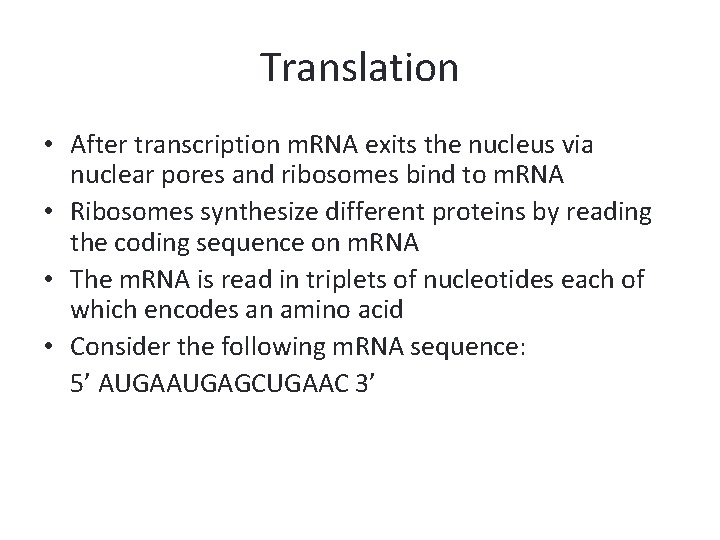 Translation • After transcription m. RNA exits the nucleus via nuclear pores and ribosomes
