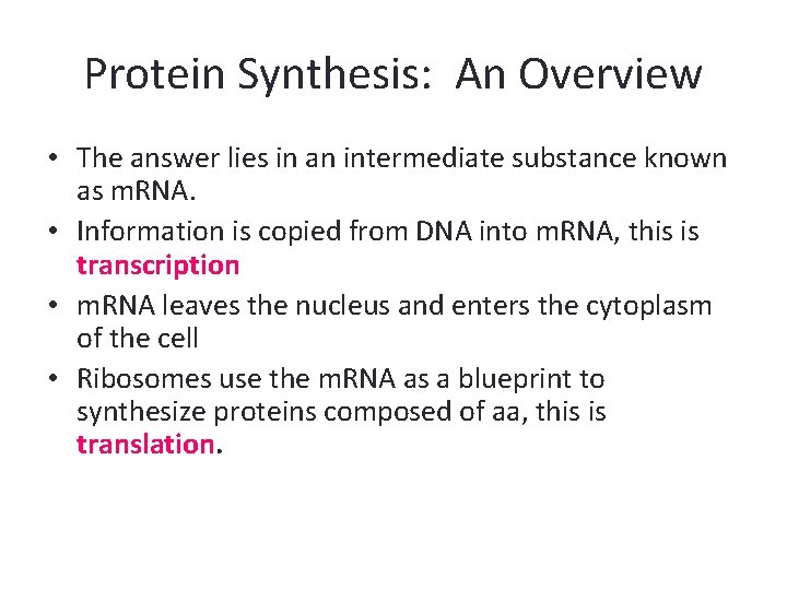 Protein Synthesis: An Overview • The answer lies in an intermediate substance known as