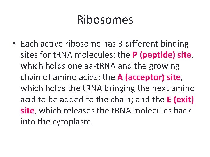 Ribosomes • Each active ribosome has 3 different binding sites for t. RNA molecules: