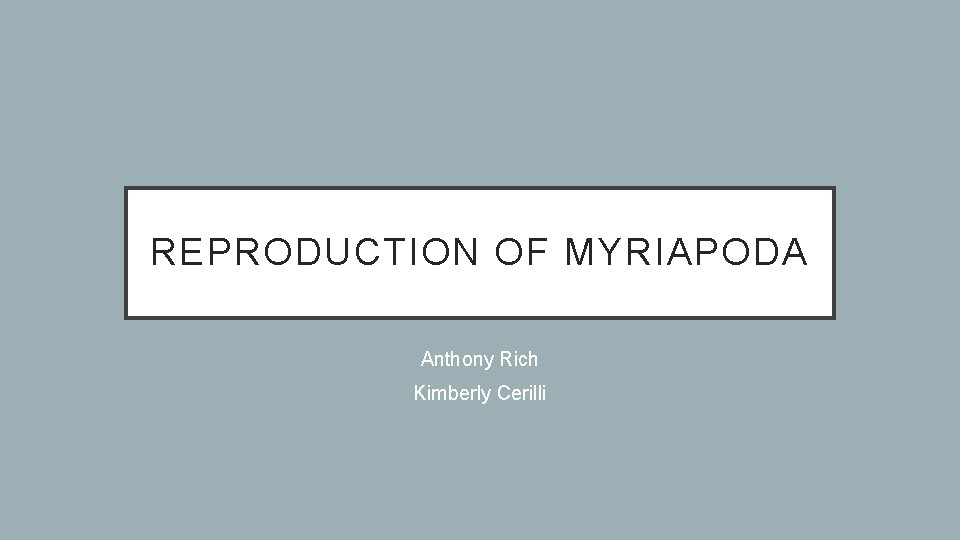 REPRODUCTION OF MYRIAPODA Anthony Rich Kimberly Cerilli 