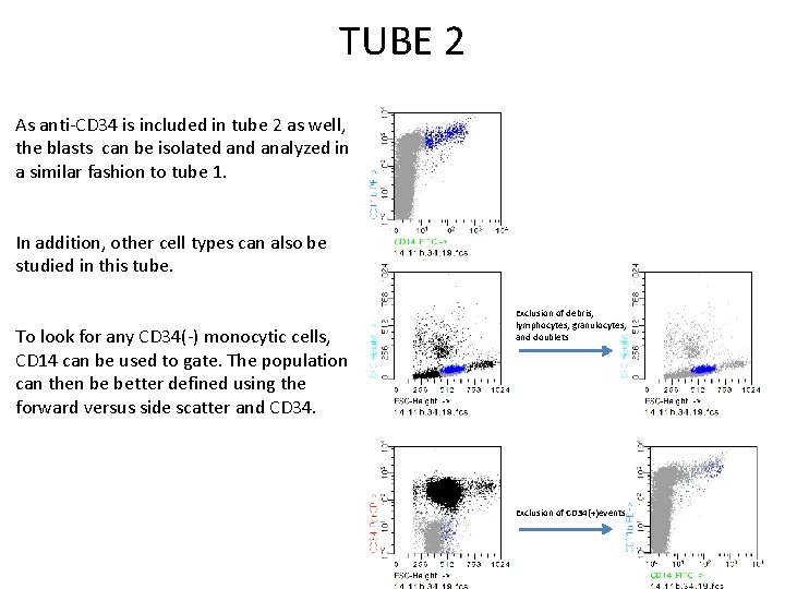 TUBE 2 As anti-CD 34 is included in tube 2 as well, the blasts