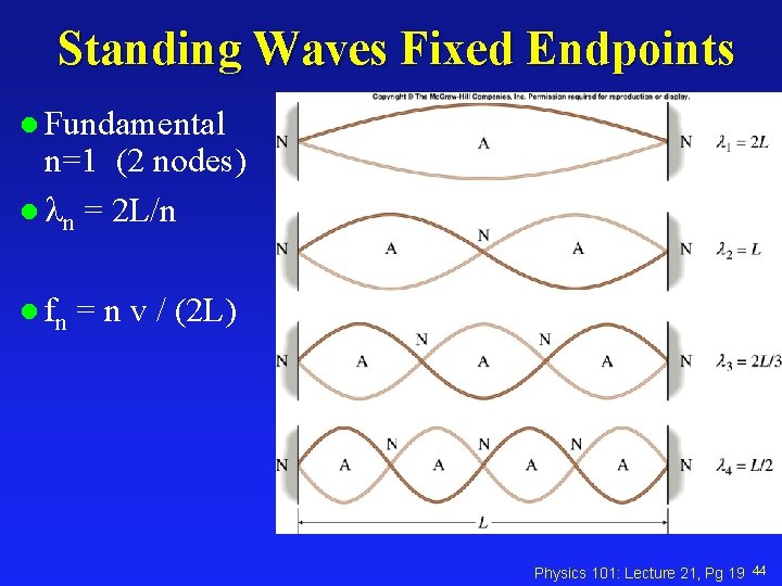 Standing Waves Fixed Endpoints l Fundamental n=1 (2 nodes) l n = 2 L/n