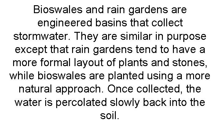 Bioswales and rain gardens are engineered basins that collect stormwater. They are similar in