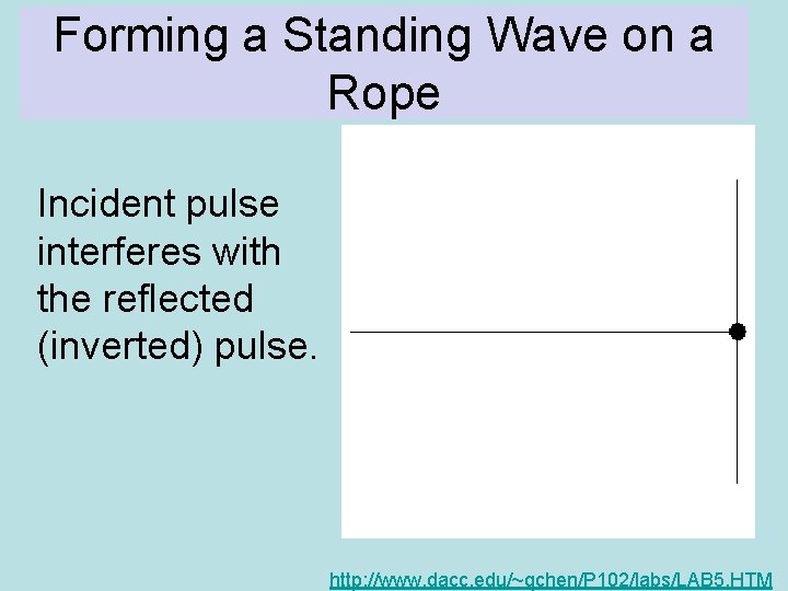 Forming a Standing Wave on a Rope Incident pulse interferes with the reflected (inverted)