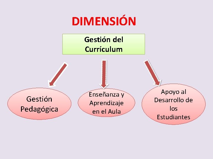 DIMENSIÓN Gestión del Currículum Gestión Pedagógica Enseñanza y Aprendizaje en el Aula Apoyo al