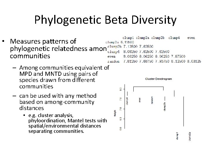 Phylogenetic Beta Diversity • Measures patterns of phylogenetic relatedness among communities – Among communities