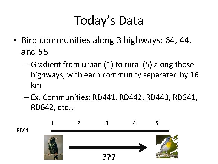Today’s Data • Bird communities along 3 highways: 64, 44, and 55 – Gradient