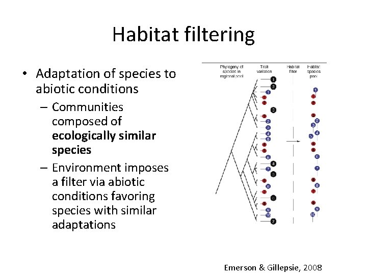 Habitat filtering • Adaptation of species to abiotic conditions – Communities composed of ecologically