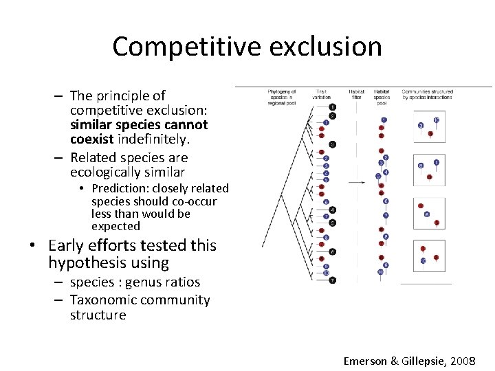 Competitive exclusion – The principle of competitive exclusion: similar species cannot coexist indefinitely. –