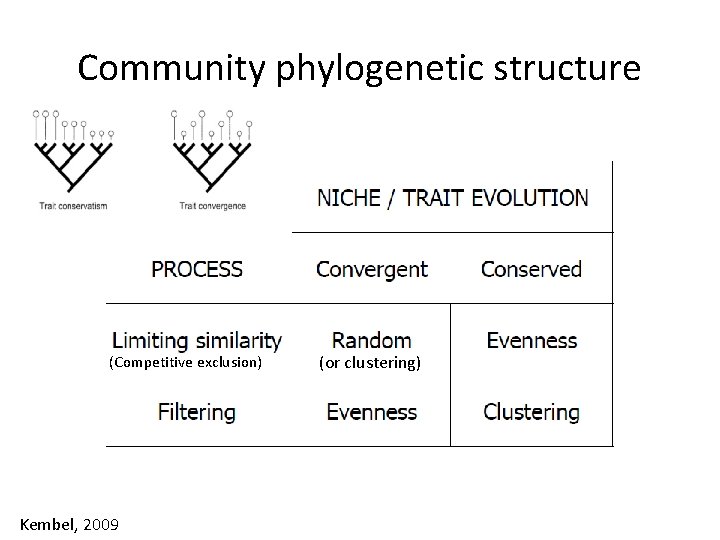 Community phylogenetic structure (Competitive exclusion) Kembel, 2009 (or clustering) 