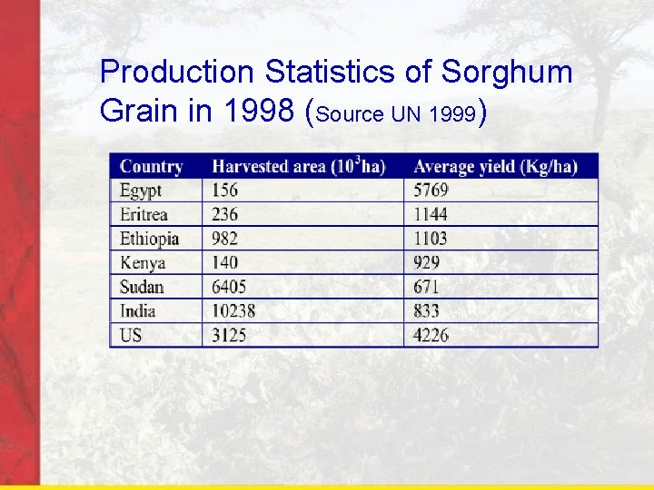 Production Statistics of Sorghum Grain in 1998 (Source UN 1999) 