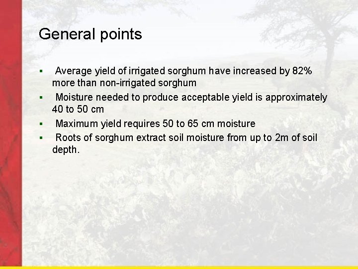 General points Average yield of irrigated sorghum have increased by 82% more than non-irrigated