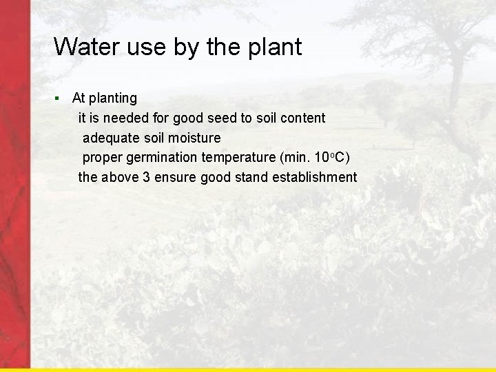 Water use by the plant § At planting it is needed for good seed