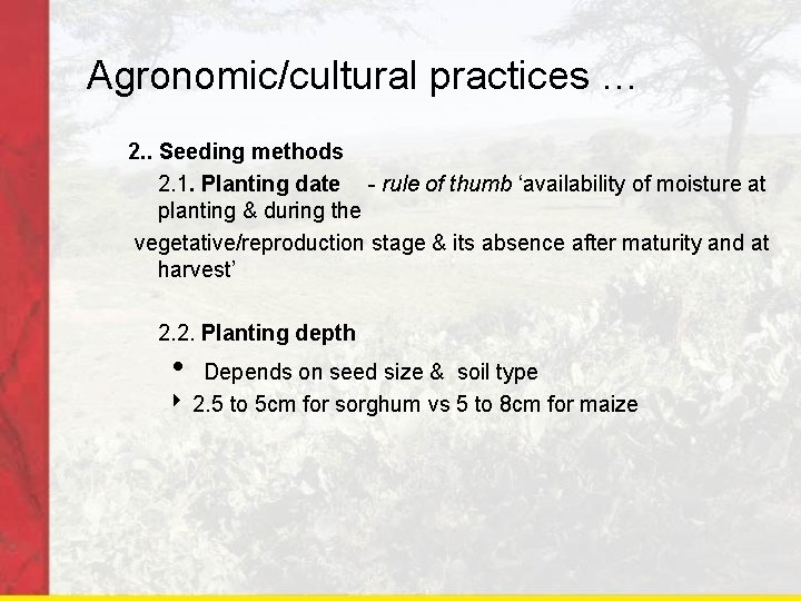 Agronomic/cultural practices … 2. . Seeding methods 2. 1. Planting date - rule of