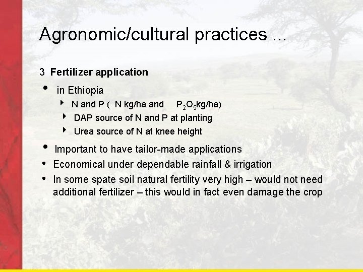 Agronomic/cultural practices. . . 3 Fertilizer application in Ethiopia N and P ( N