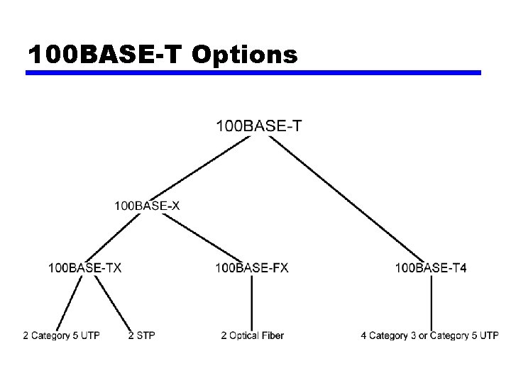 100 BASE-T Options 