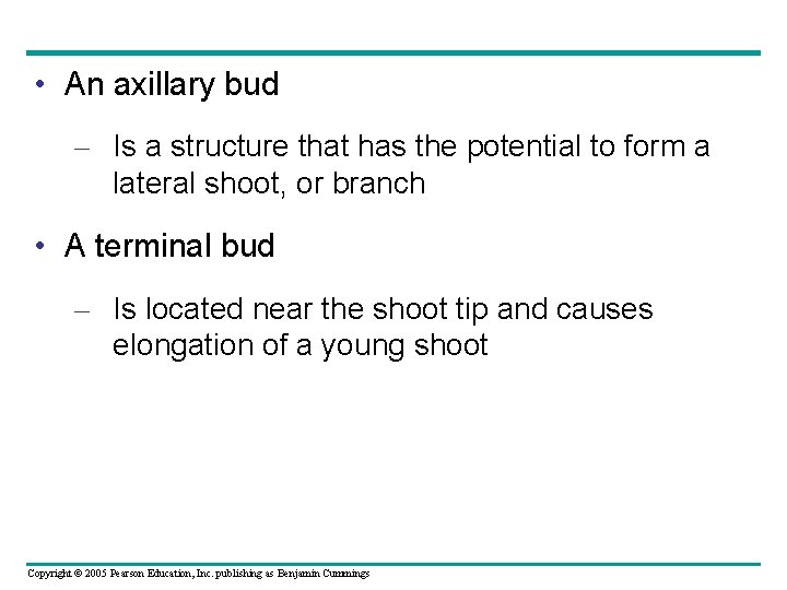  • An axillary bud – Is a structure that has the potential to