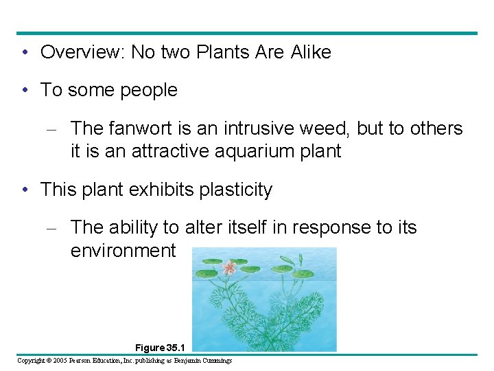  • Overview: No two Plants Are Alike • To some people – The