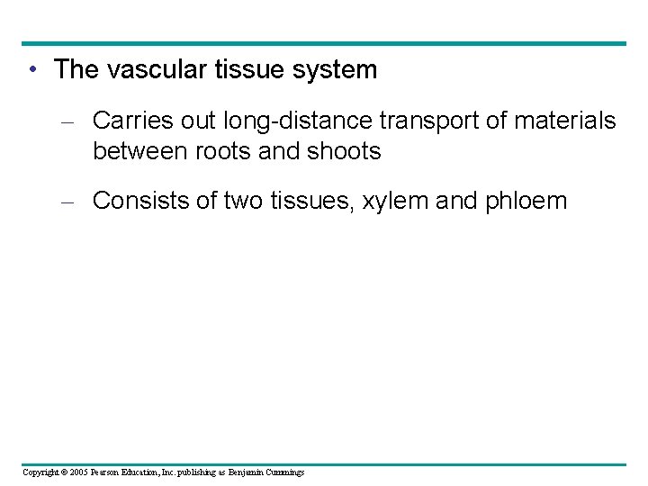  • The vascular tissue system – Carries out long-distance transport of materials between