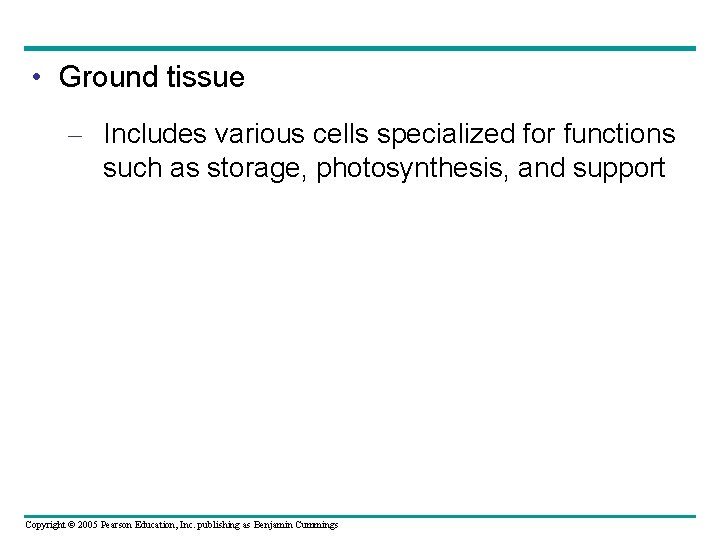  • Ground tissue – Includes various cells specialized for functions such as storage,