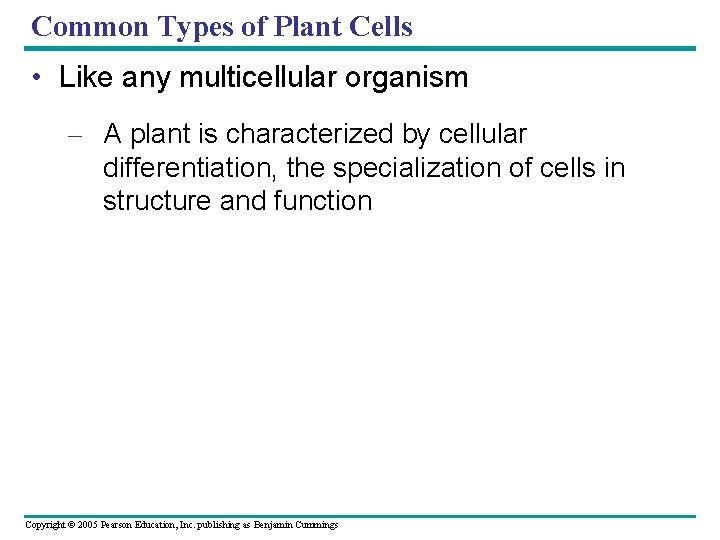 Common Types of Plant Cells • Like any multicellular organism – A plant is