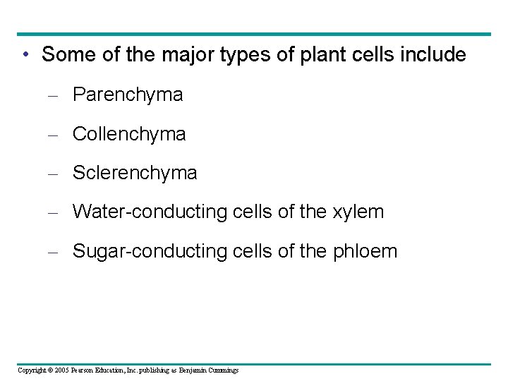  • Some of the major types of plant cells include – Parenchyma –