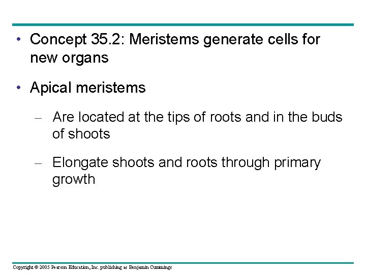  • Concept 35. 2: Meristems generate cells for new organs • Apical meristems