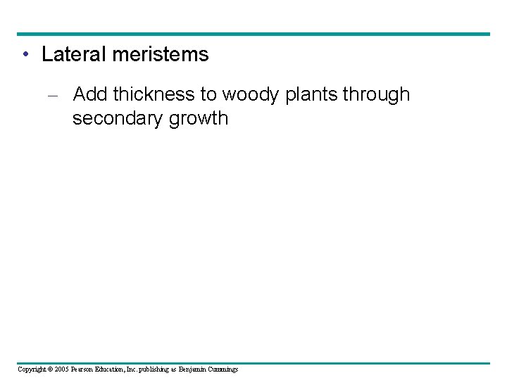  • Lateral meristems – Add thickness to woody plants through secondary growth Copyright