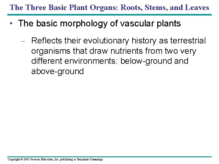 The Three Basic Plant Organs: Roots, Stems, and Leaves • The basic morphology of