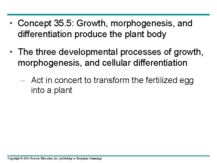  • Concept 35. 5: Growth, morphogenesis, and differentiation produce the plant body •