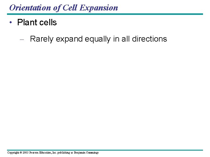 Orientation of Cell Expansion • Plant cells – Rarely expand equally in all directions