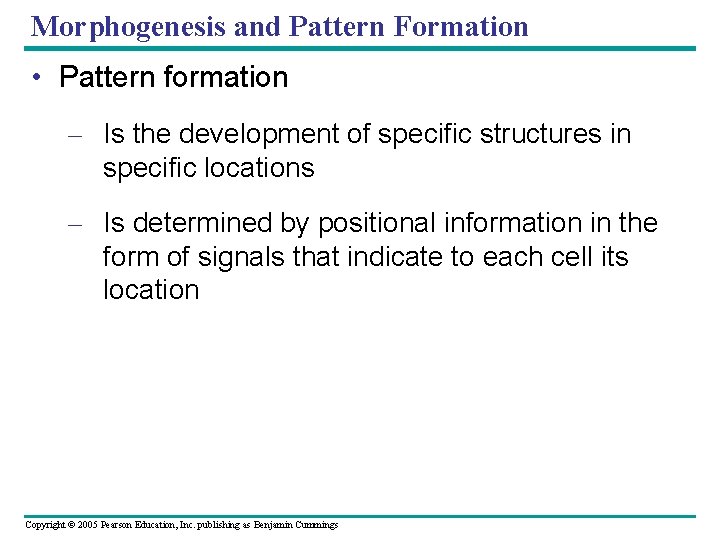 Morphogenesis and Pattern Formation • Pattern formation – Is the development of specific structures