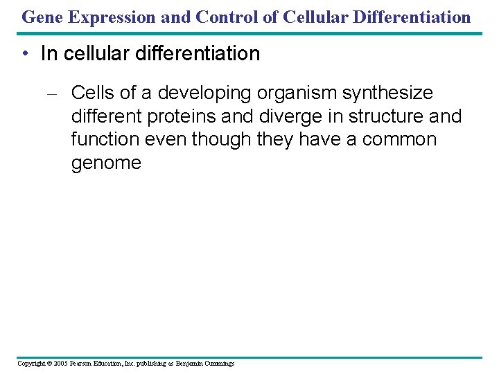 Gene Expression and Control of Cellular Differentiation • In cellular differentiation – Cells of