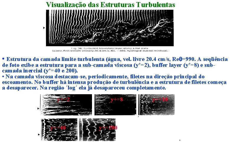 Visualização das Estruturas Turbulentas • Estrutura da camada limite turbulenta (água, vel. livre 20.