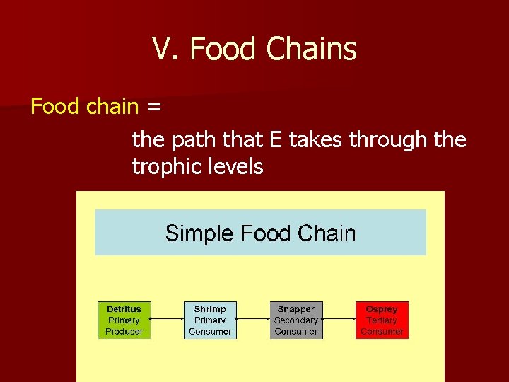 V. Food Chains Food chain = the path that E takes through the trophic