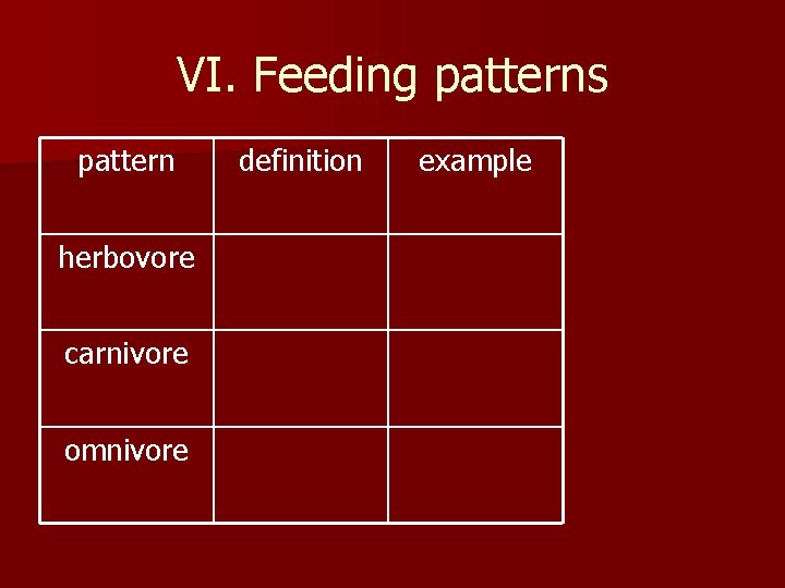 VI. Feeding patterns pattern herbovore carnivore omnivore definition example 