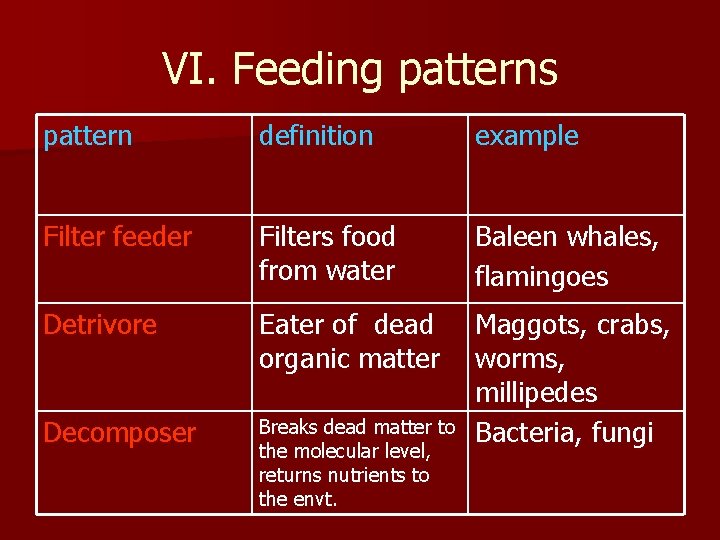 VI. Feeding patterns pattern definition example Filter feeder Filters food from water Baleen whales,