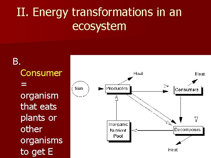 II. Energy transformations in an ecosystem B. Consumer = organism that eats plants or