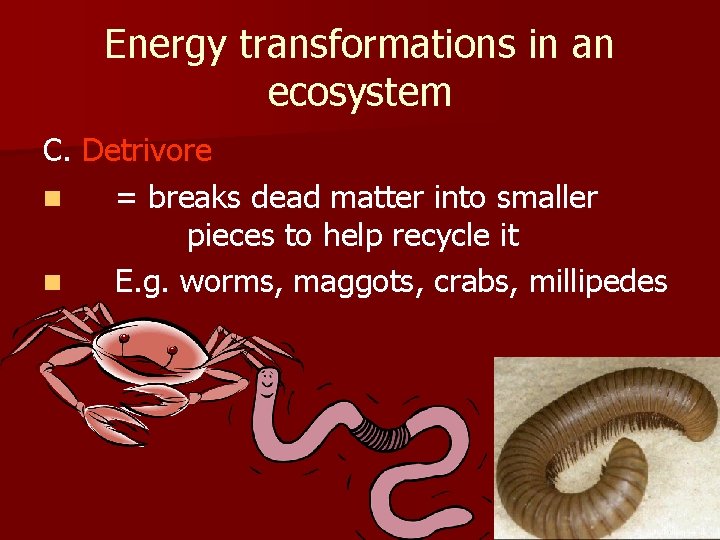 Energy transformations in an ecosystem C. Detrivore n = breaks dead matter into smaller