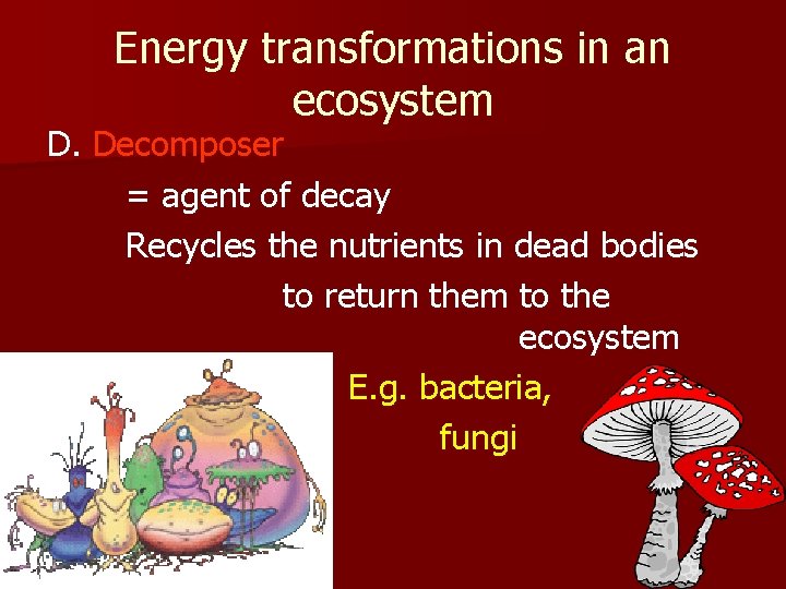 Energy transformations in an ecosystem D. Decomposer = agent of decay Recycles the nutrients