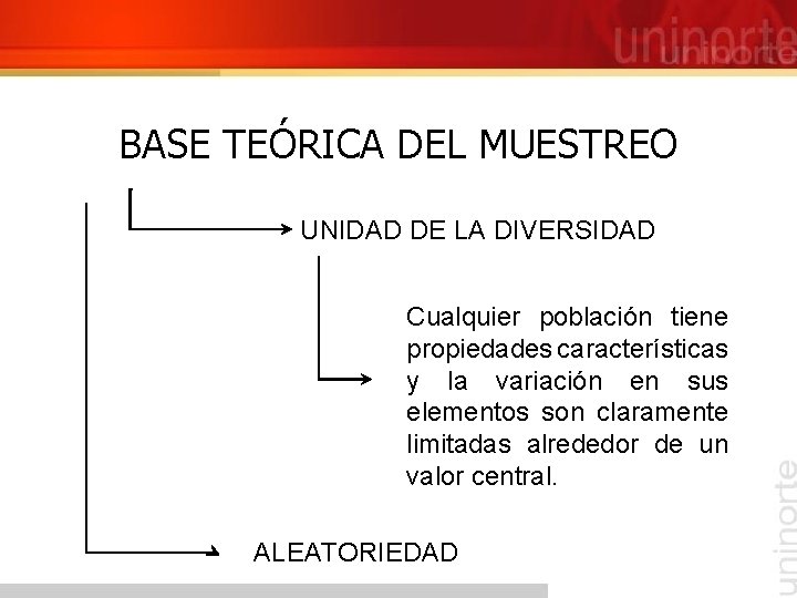 BASE TEÓRICA DEL MUESTREO UNIDAD DE LA DIVERSIDAD Cualquier población tiene propiedades características y