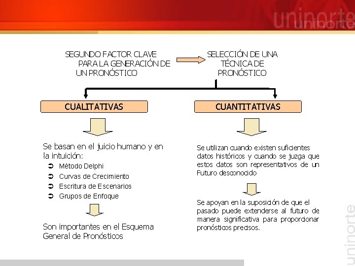 SEGUNDO FACTOR CLAVE PARA LA GENERACIÓN DE UN PRONÓSTICO CUALITATIVAS Se basan en el