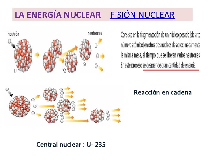 LA ENERGÍA NUCLEAR FISIÓN NUCLEAR Reacción en cadena Central nuclear : U- 235 LA ENERGÍA NUCLEAR FISIÓN NUCLEAR Reacción en cadena Central nuclear : U- 235