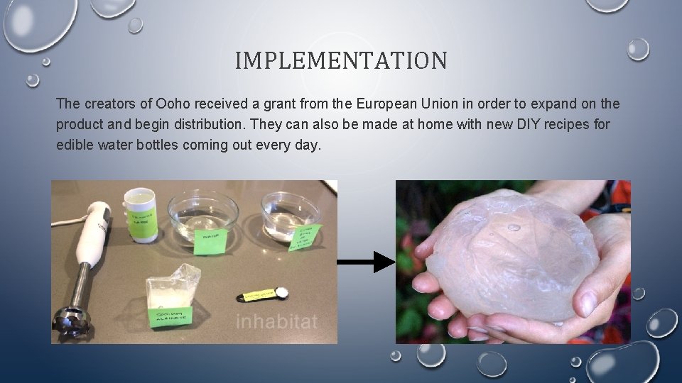 THE EDIBLE WATER BOTTLE SCHOLARS 1100 RESEARCH PROJECT